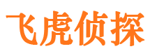 洞口寻人公司